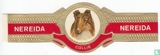 Collie - Afbeelding 1