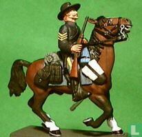 us 7th reg. cavalry-usa 1876