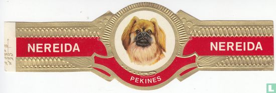 Pekines - Image 1