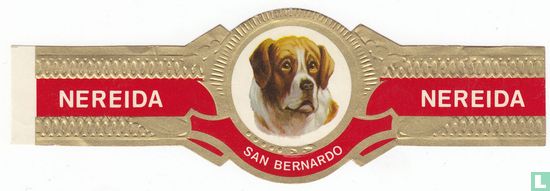 San Bernardo - Afbeelding 1