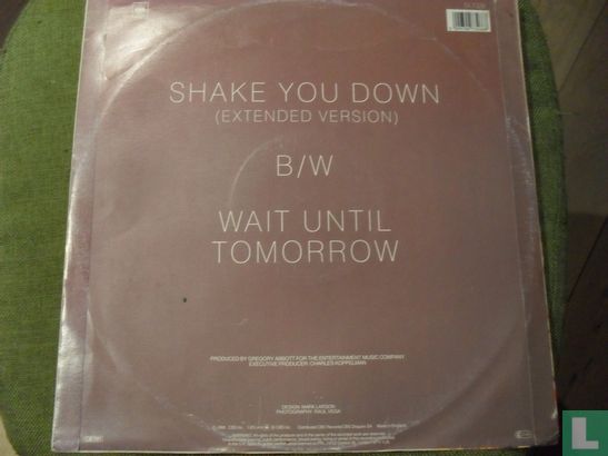 Shake You Down - Image 2