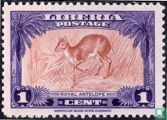 Royal Antelope