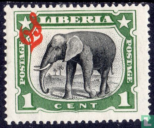 Afrikaanse olifant 