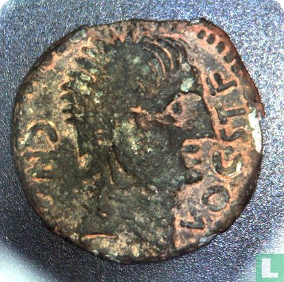 Roman Empire, AE Semis, 1st century BC, unknown Mr star, Castulo, Hispania - Image 1