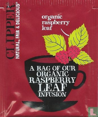 organic raspberry leaf - Afbeelding 1