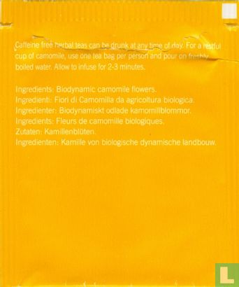 Royal Camomile - Afbeelding 2