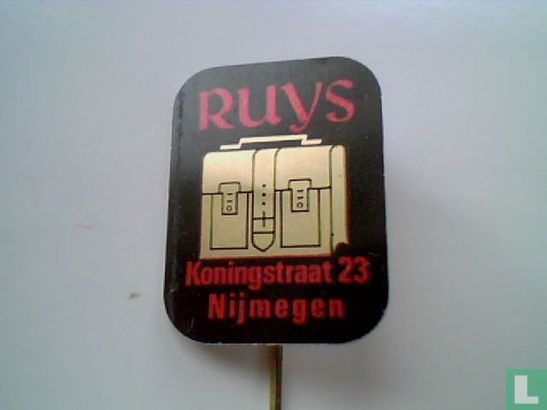 Ruys Koningstraat 23 Nijmegen
