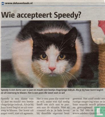 Wie accepteert Speedy?