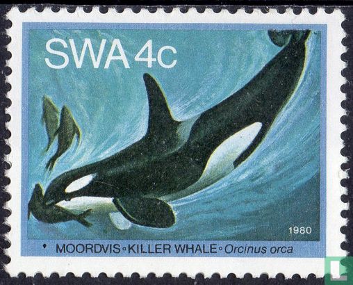 Walvissen 
