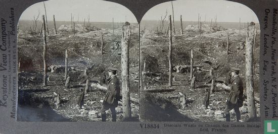 Desolate waste on Chemin des Dames battlefield, France - Image 1