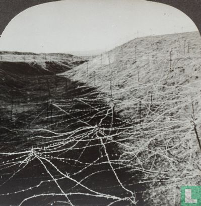 Sea of barbed wire in front of Bulgarian lines, Saloniki - Bild 2