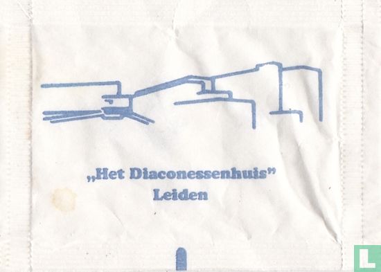 "Het Diaconessenhuis" Leiden  - Afbeelding 1