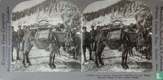 How Italian guns were carried up steel narrow paths of Alpine front - Bild 1