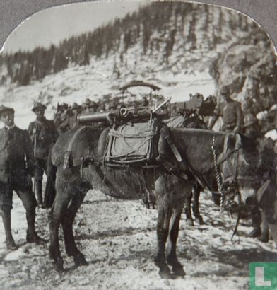 How Italian guns were carried up steel narrow paths of Alpine front - Bild 2