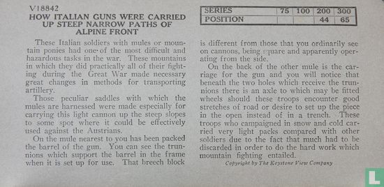 How Italian guns were carried up steel narrow paths of Alpine front - Bild 3