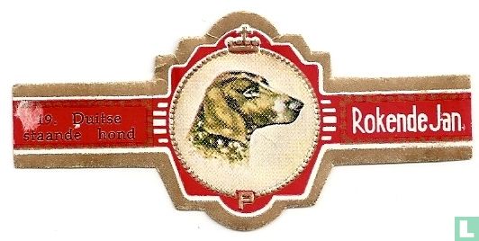 Duitse staande hond - Afbeelding 1