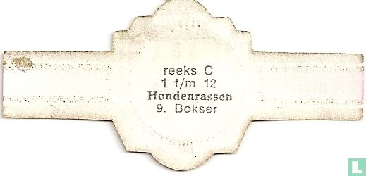 Bokser  - Image 2