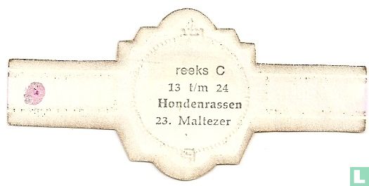 Maltezer  - Image 2
