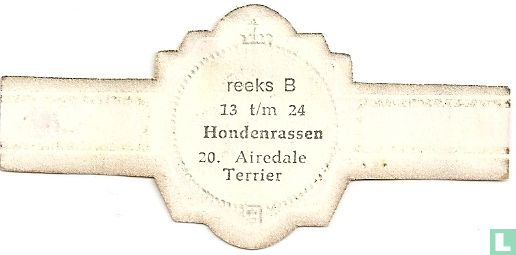 Airedale Terrier - Afbeelding 2