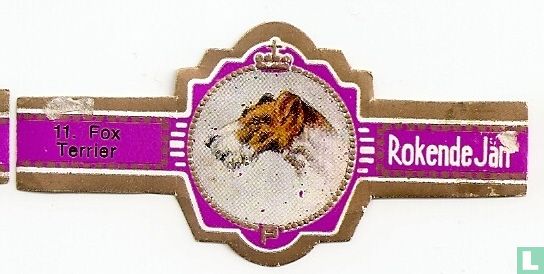 Fox Terrier - Afbeelding 1