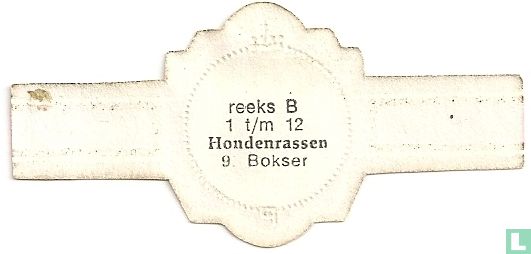 Bokser - Afbeelding 2