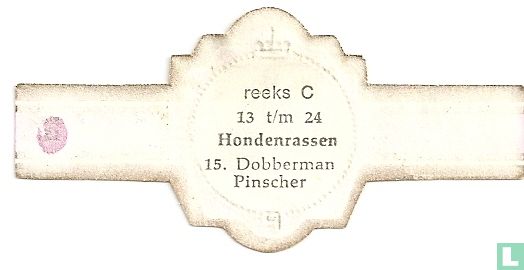 Dobberman Pinscher - Image 2