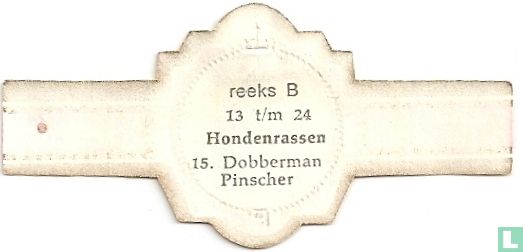 Dobberman Pinscher - Afbeelding 2