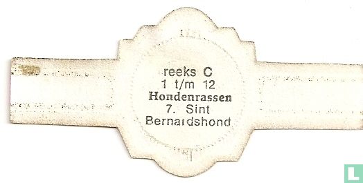Sint Bernardshond - Image 2