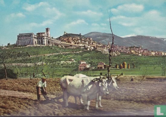 Ossenploeg Ox plow Panorama Assisi - Afbeelding 1