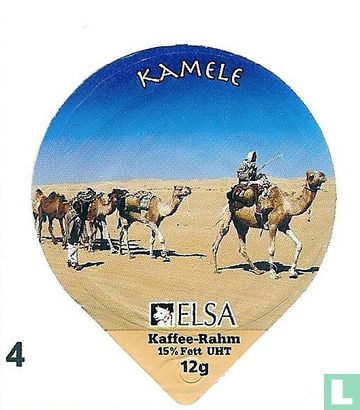 Kamele  