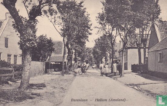 Hollum (Ameland), Burenlaan