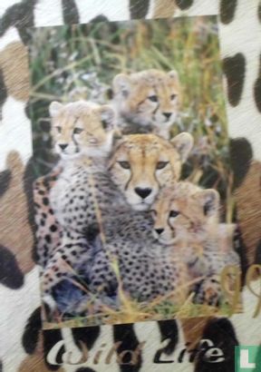 Wild Life - Image 1