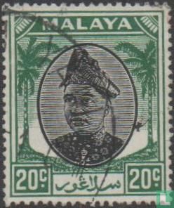 Sultan Hisamuddin Alam Shah 