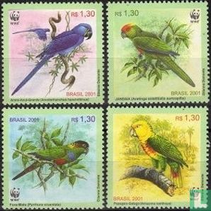 WWF-Brazilian Parrots