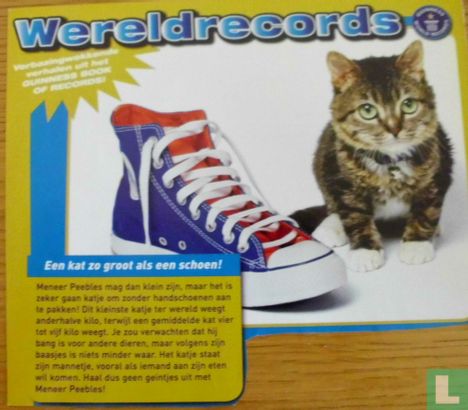 Wereldrecords: Een kat zo groot als een schoen
