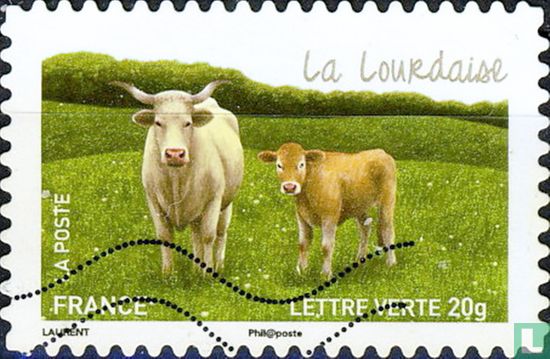 Vaches - La Lourdaise