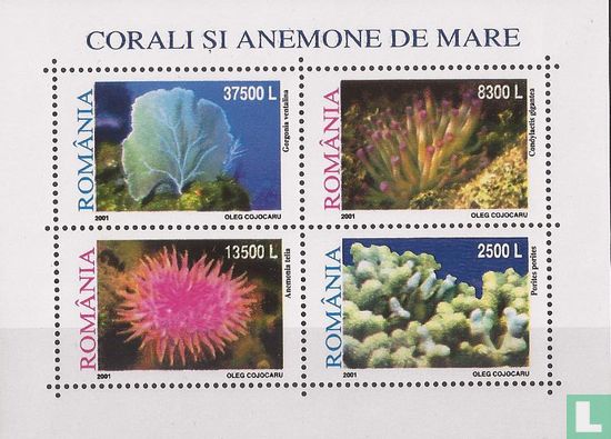 Koralen en zeeanemonen