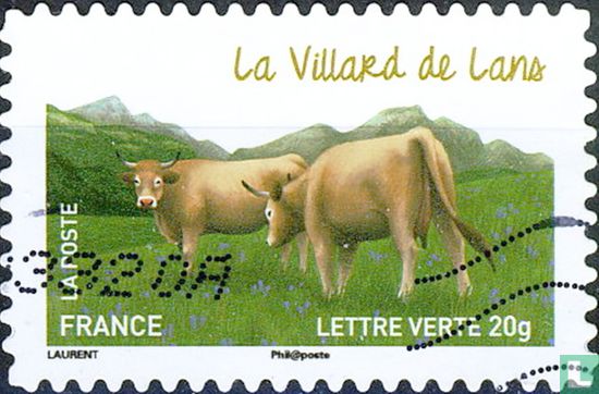 Vaches - La Villard de Lans