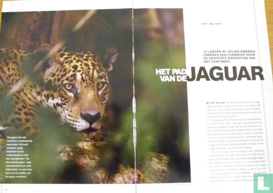 Het pad van de jaguar - Afbeelding 1