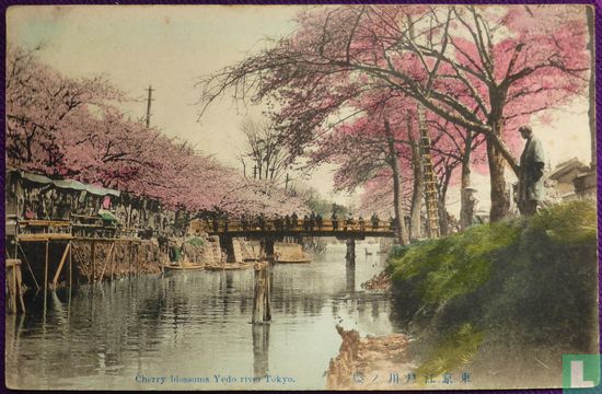 Tokyo Cherry Blossoms Yedo River - Image 1