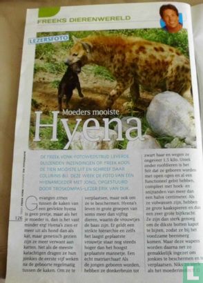 Moeders mooiste Hyena - Afbeelding 1