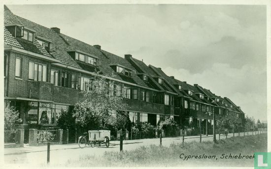 Cypreslaan Schiebroek - Afbeelding 1