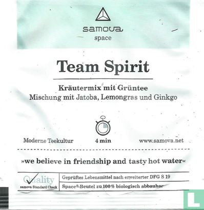Team Spirit - Afbeelding 2
