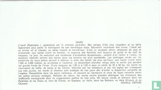 Pyrenese gems - Afbeelding 2