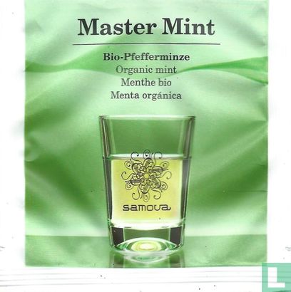 Master Mint - Afbeelding 1