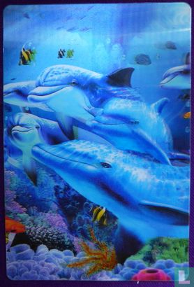 3D Dolfijnen Delphinidae Oceanic dolphin
