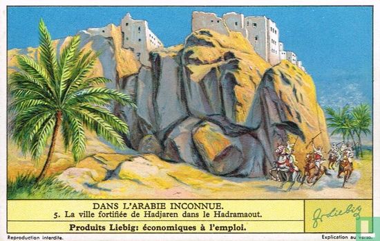 La ville fortifiée de Hadjaren dans le Hadramaout