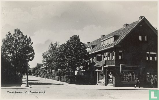 Ribeslaan, Schiebroek - Afbeelding 1