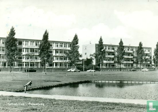 Schiebroek - Peppelweg - Afbeelding 1