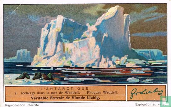 Icebergs dans la mer de Weddell